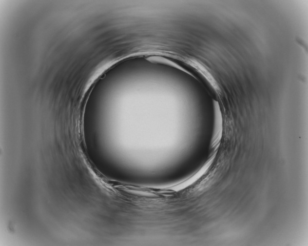 X0000096161101200802081428