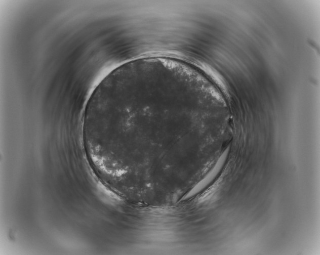 X0000096161102200802081428