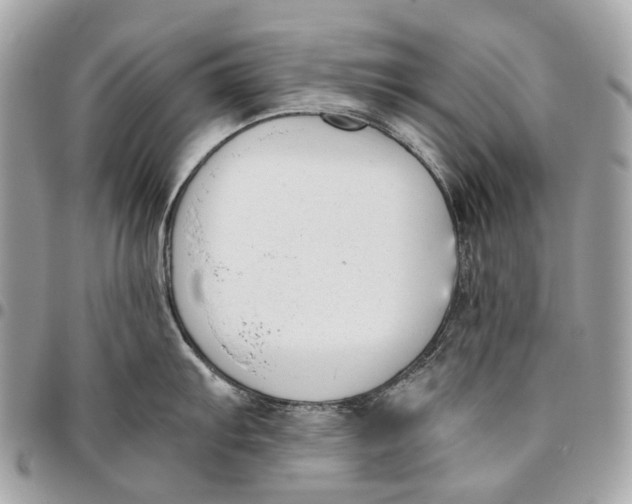 X0000096161103200802081428