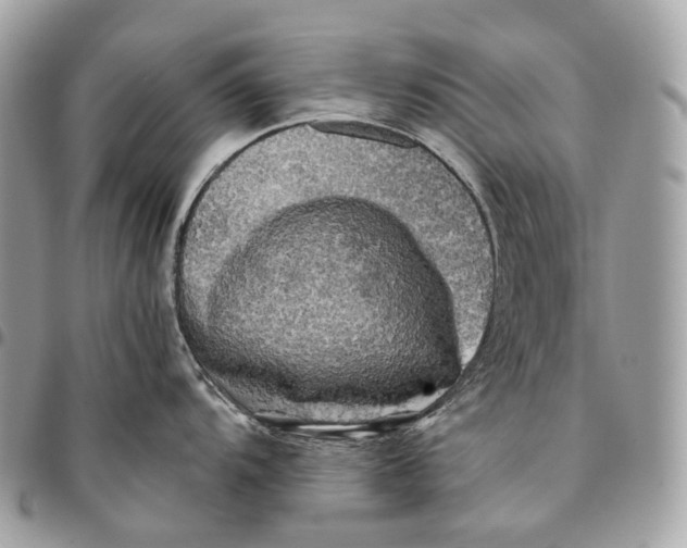 X0000096161104200802081428