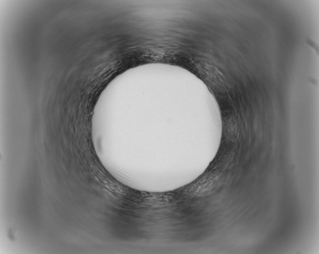 X0000096161105200802081428