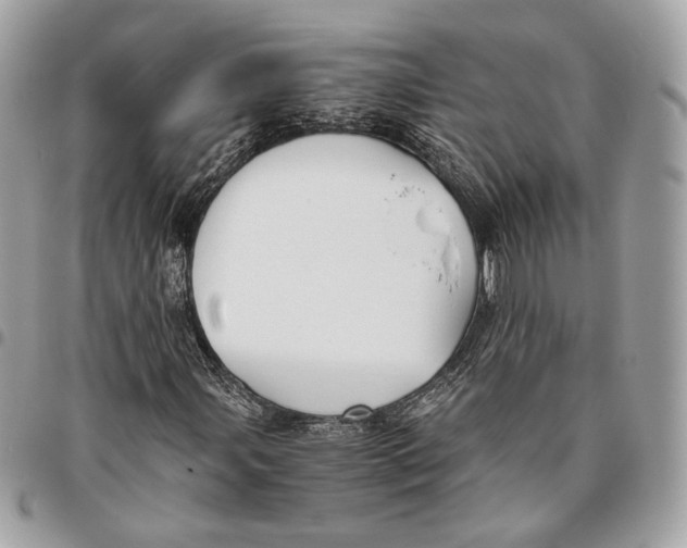 X0000096161107200802081428