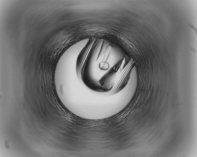 X0000096161108200802081428