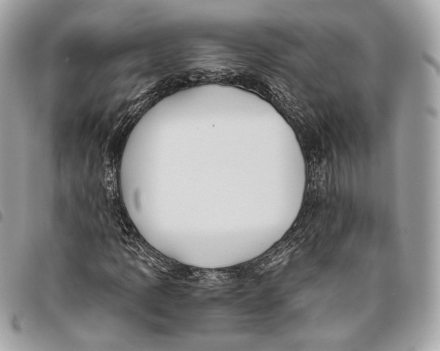 X0000096161109200802081428