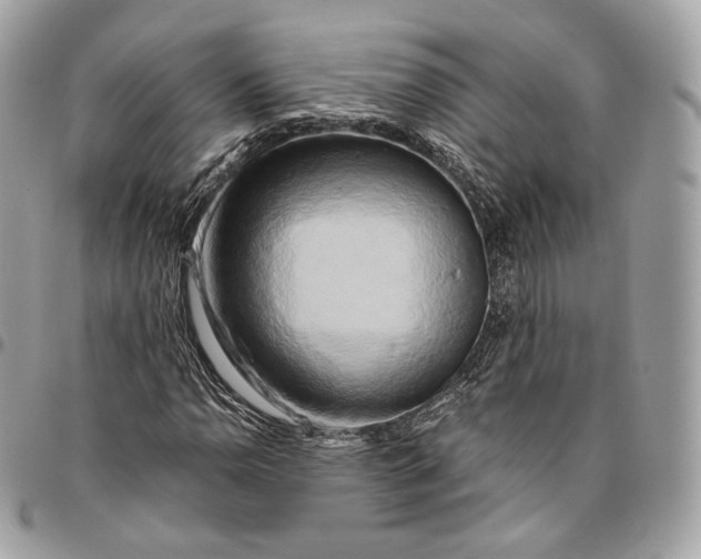 X0000096161110200802081428