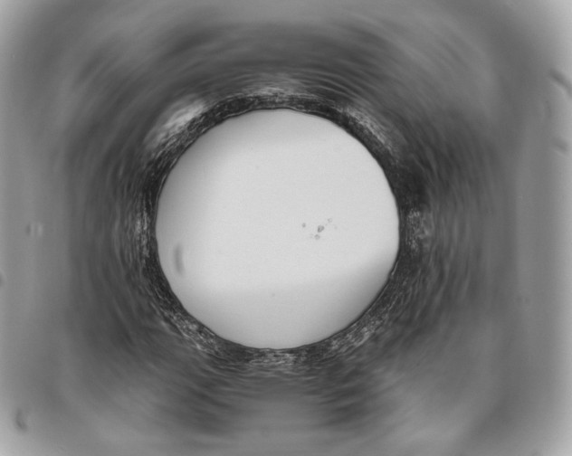 X0000096161111200802081428