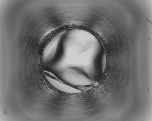 X0000096161112200802081428