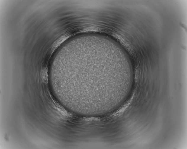 X0000096161113200802081428