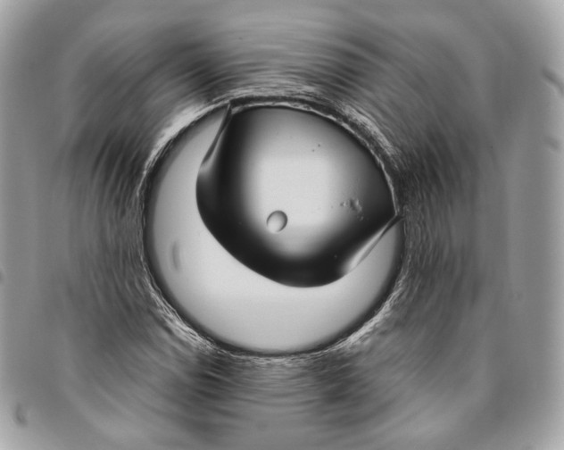 X0000096161114200802081428