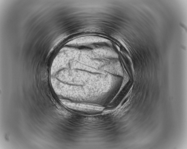 X0000096161115200802081428