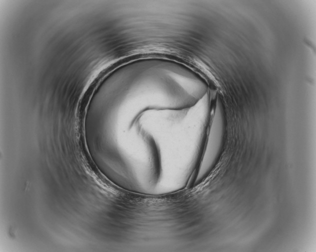 X0000096161116200802081428