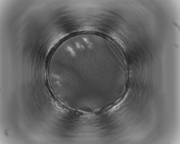 X0000096161117200802081428