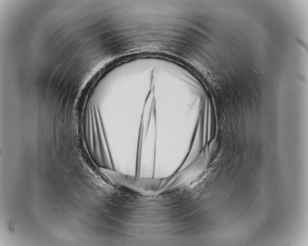 X0000096161118200802081428