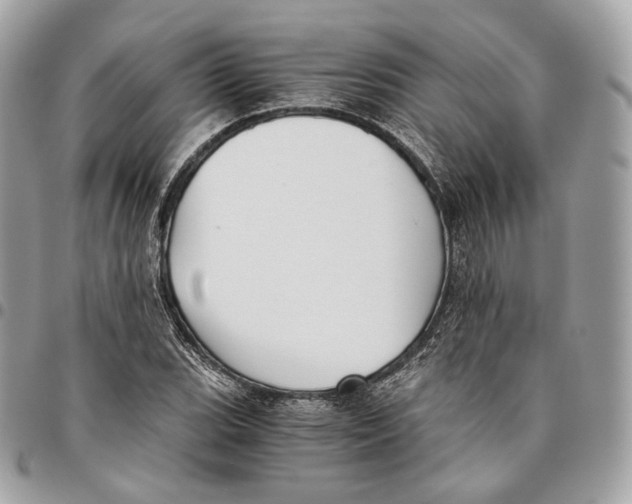 X0000096161119200802081428