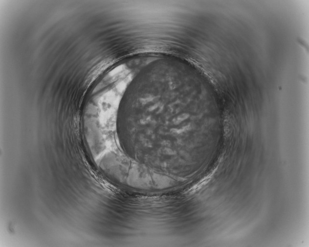 X0000096161121200802081428