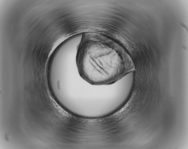 X0000096161122200802081428