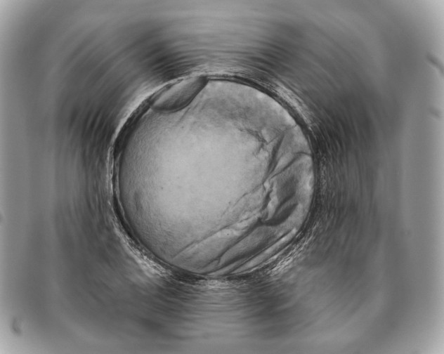 X0000096161124200802081428