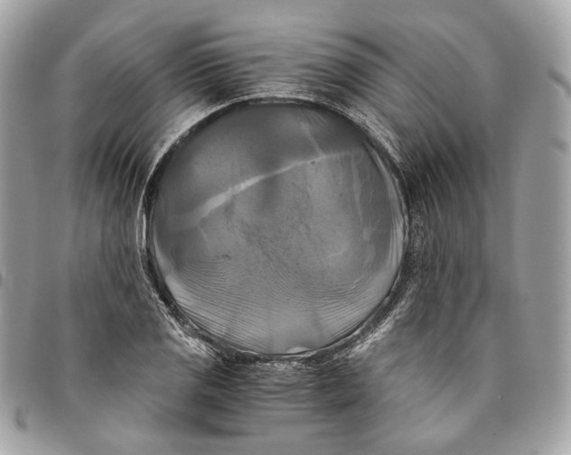 X0000096161125200802081428