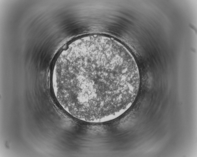 X0000096161126200802081428