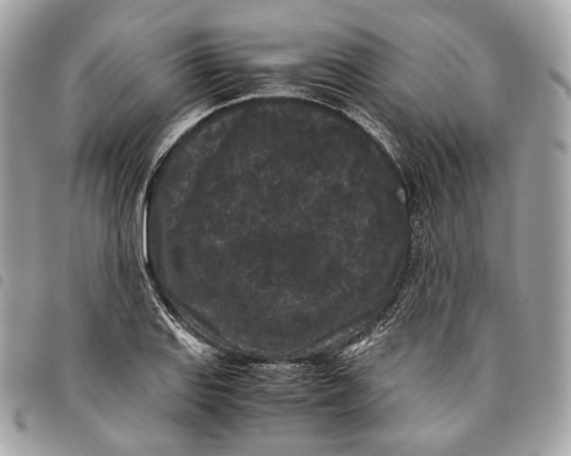 X0000096161127200802081428