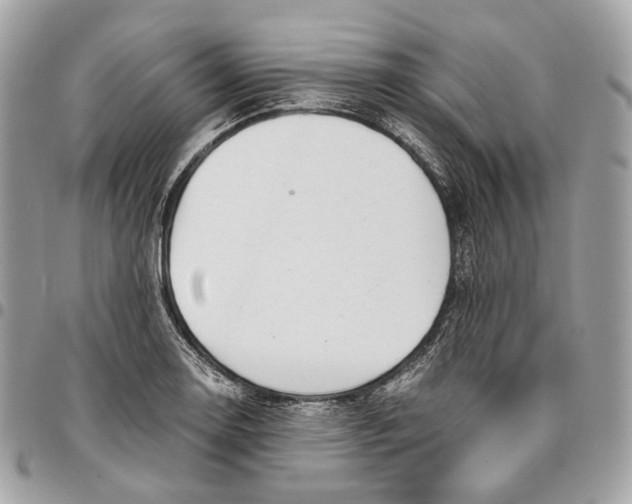 X0000096161130200802081428