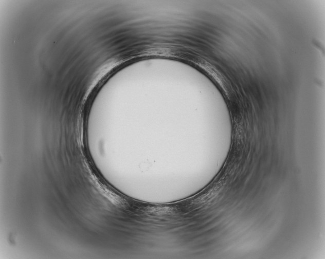 X0000096161131200802081428