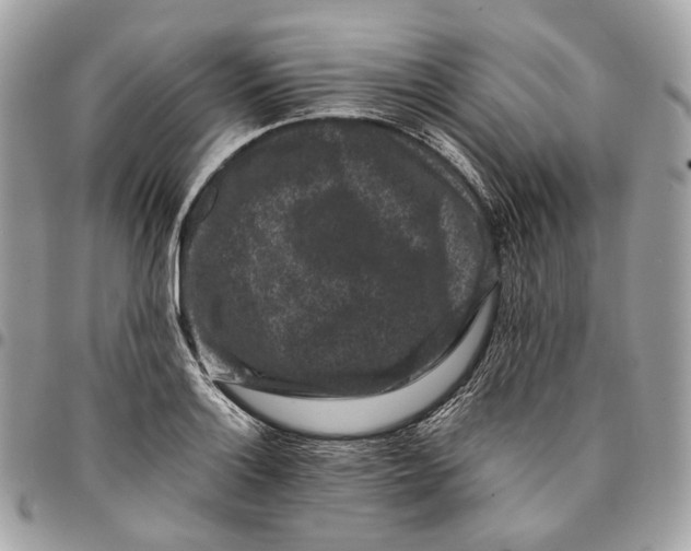 X0000096161132200802081428