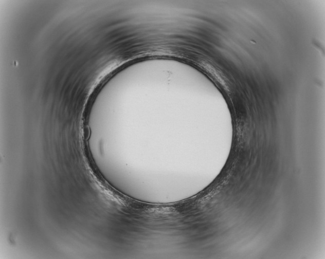 X0000096161133200802081428