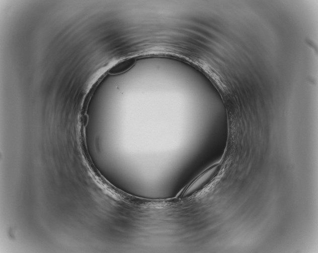 X0000096161134200802081428