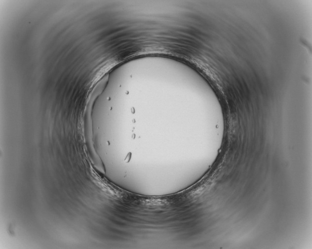 X0000096161137200802081428