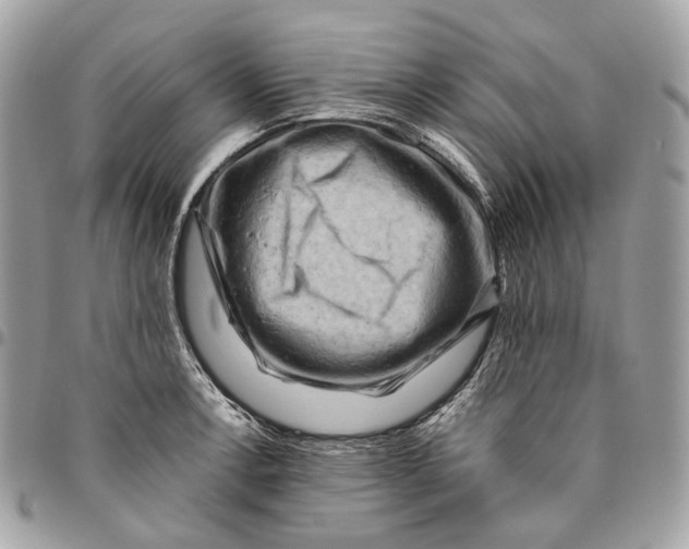 X0000096161138200802081428