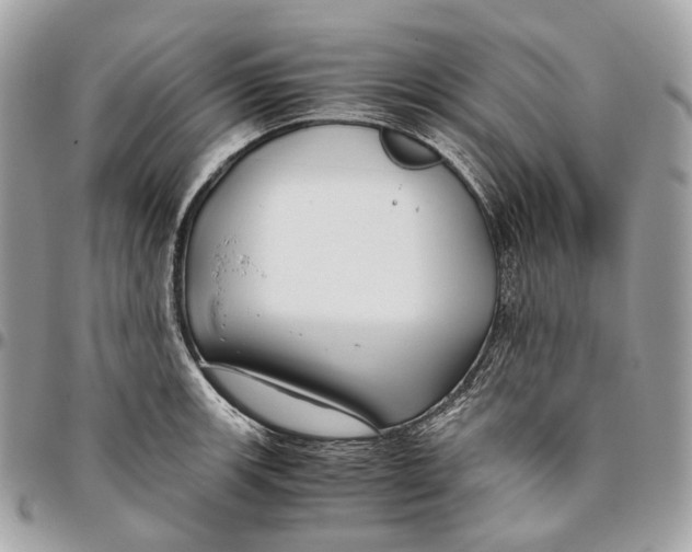 X0000096161139200802081428