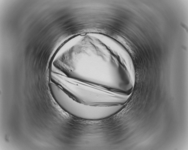 X0000096161140200802081428