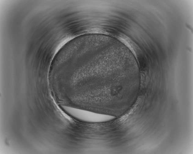 X0000096161141200802081428