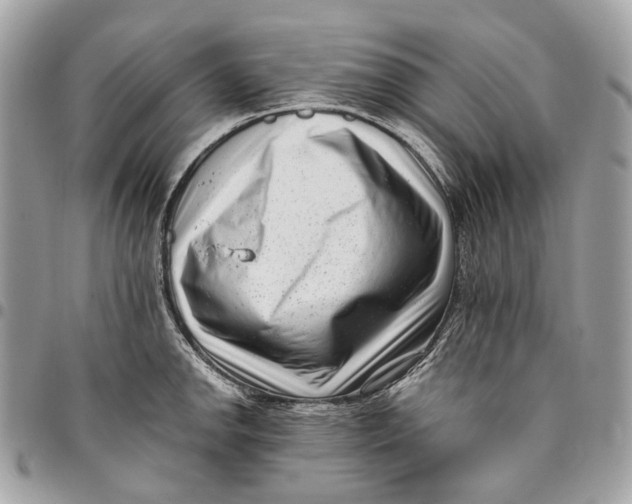 X0000096161142200802081428