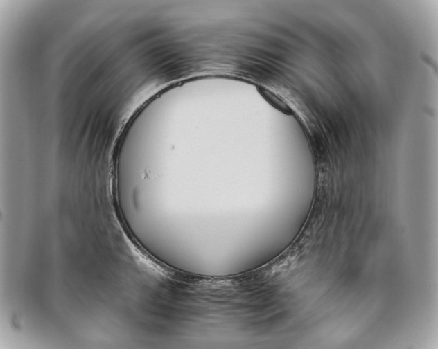 X0000096161143200802081428