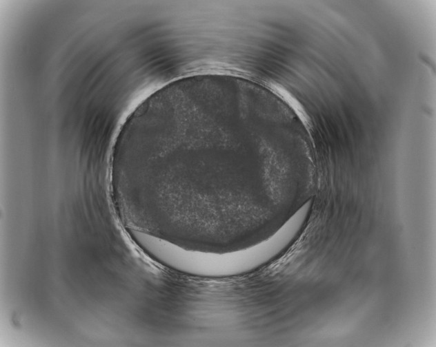 X0000096161144200802081428