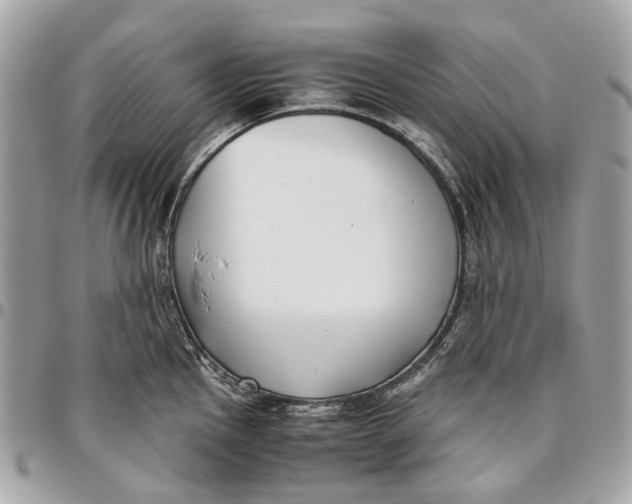 X0000096161145200802081428