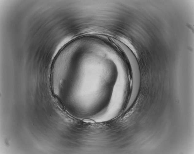 X0000096161146200802081428