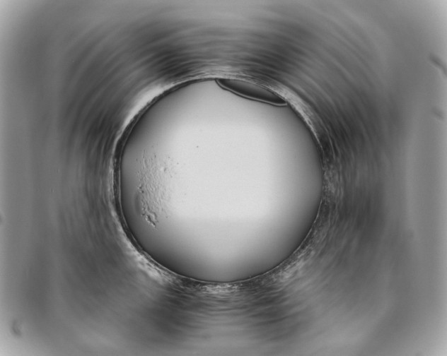 X0000096161147200802081428