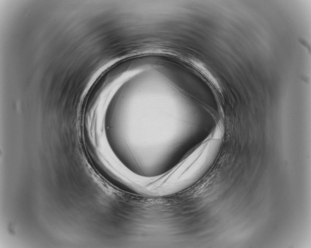 X0000096161148200802081428