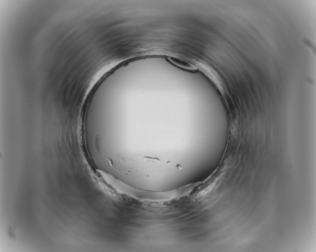 X0000096161149200802081428