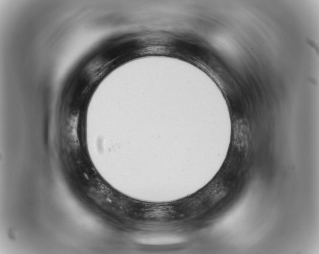 X0000096161150200802081428