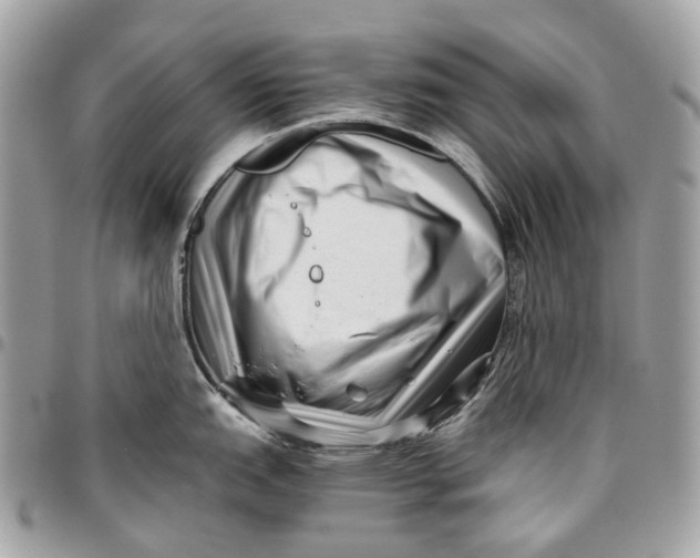 X0000096161151200802081428