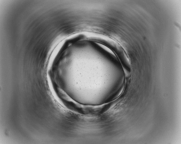 X0000096161152200802081428