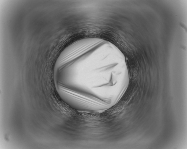 X0000096161153200802081428