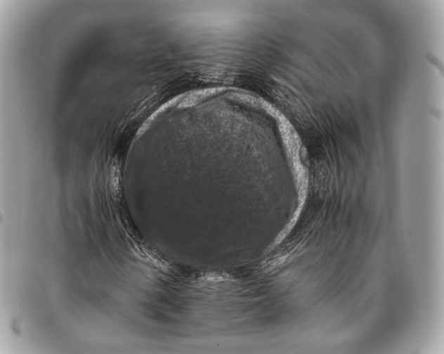 X0000096161154200802081428