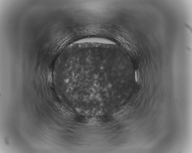 X0000096161155200802081428