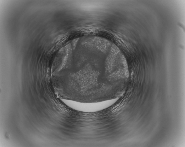 X0000096161156200802081428