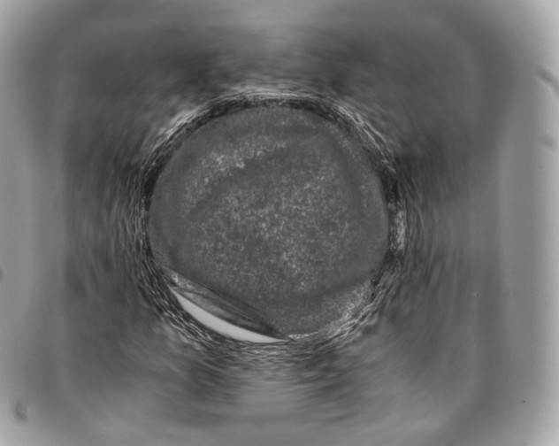 X0000096161157200802081428